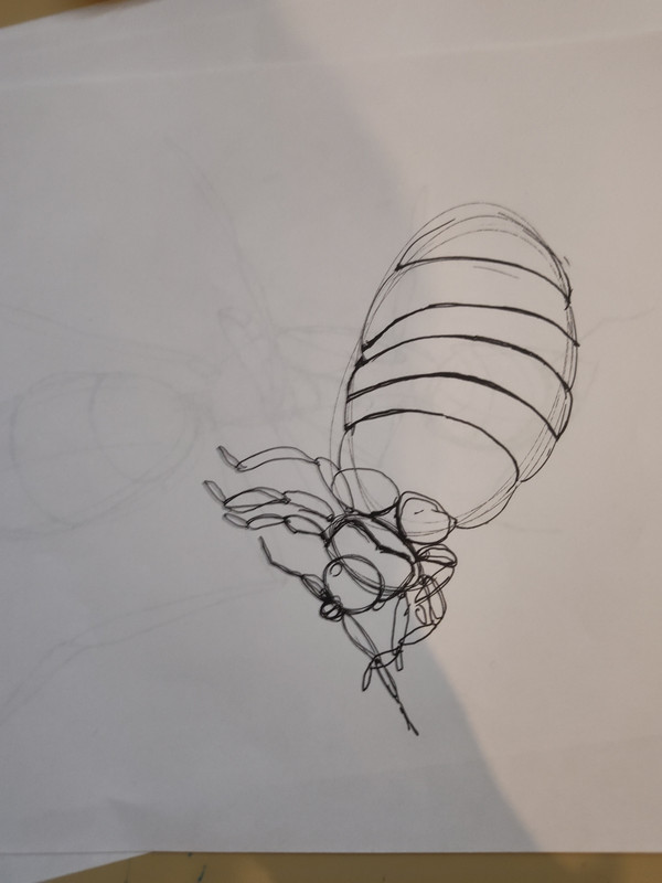 IMG_20240228_132155040