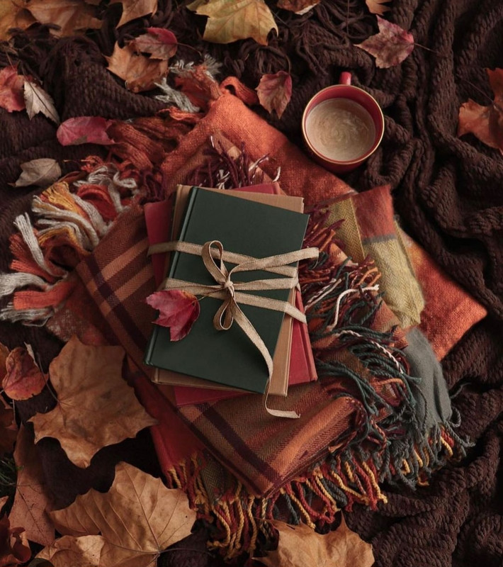 Screenshot_20231210_165554_Instagram