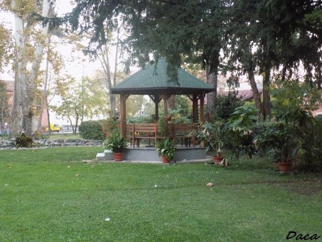 Slika