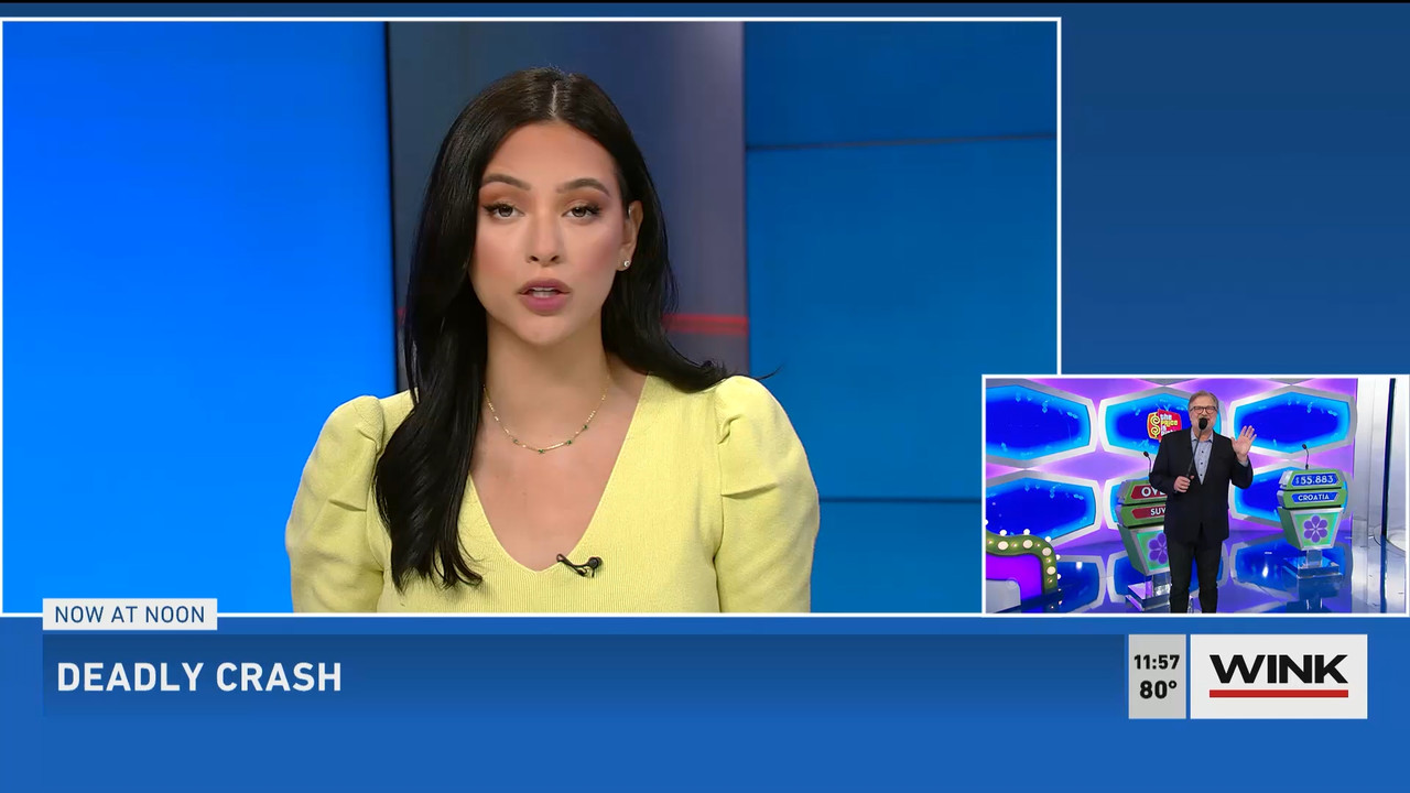 01.02 - 17.00.00 - The WINK Noon News  ᴺᵉʷ. Midday news update..ts_snapshot_03.25.761
