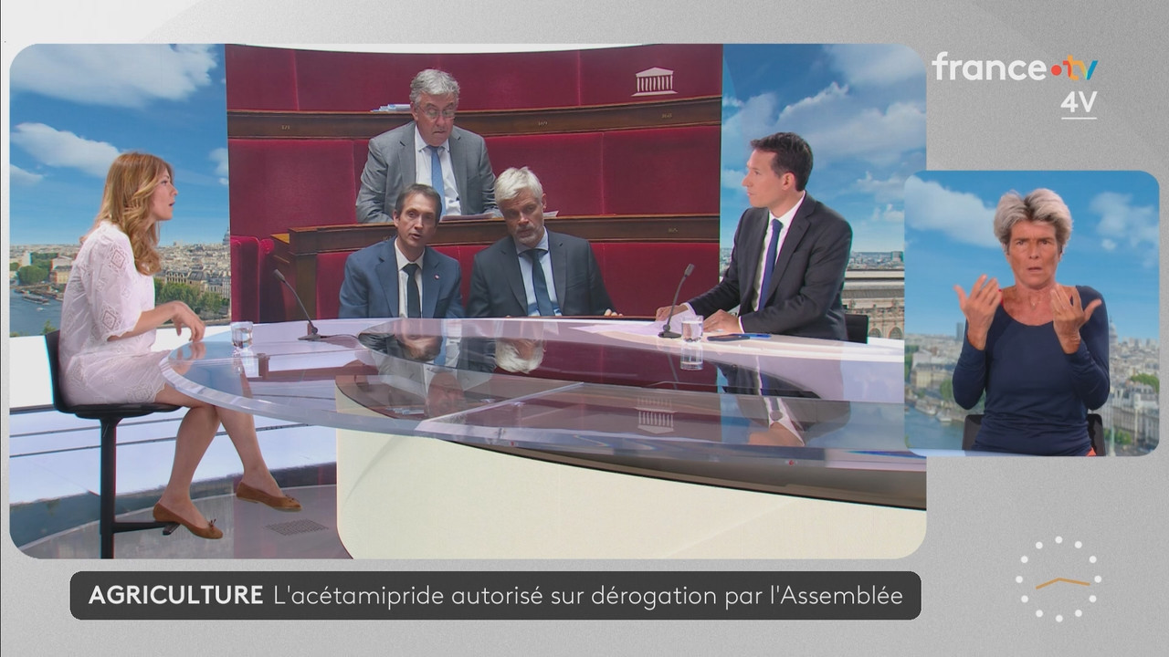 Journal 08h00 (France 2) 2026 07 21 06 55 81 ts snapshot 22 06 464