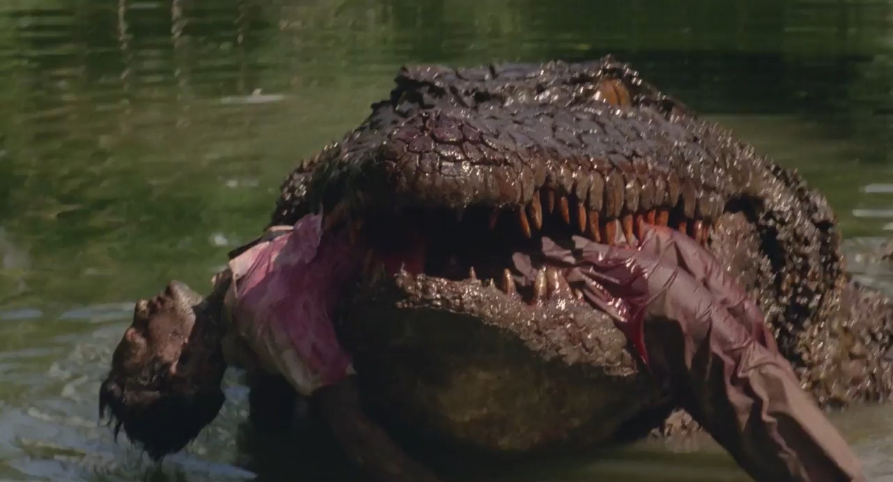 Killer Crocodile 1989 BluRay [Hindi + English] 480p 720p ESub Screenshot