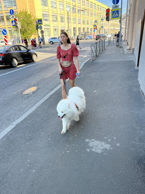 EBCEFFA4-EBCC-4E05-B68F-56FCE89DED2D