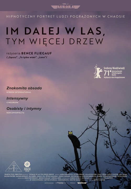 Im dalej w las, tym więcej drzew / Forest: I See You Everywhere / Rengeteg - Mindenhol látlak (2021) PL.480p.WEB-DL.XviD.DD2.0-K83 / Lektor PL