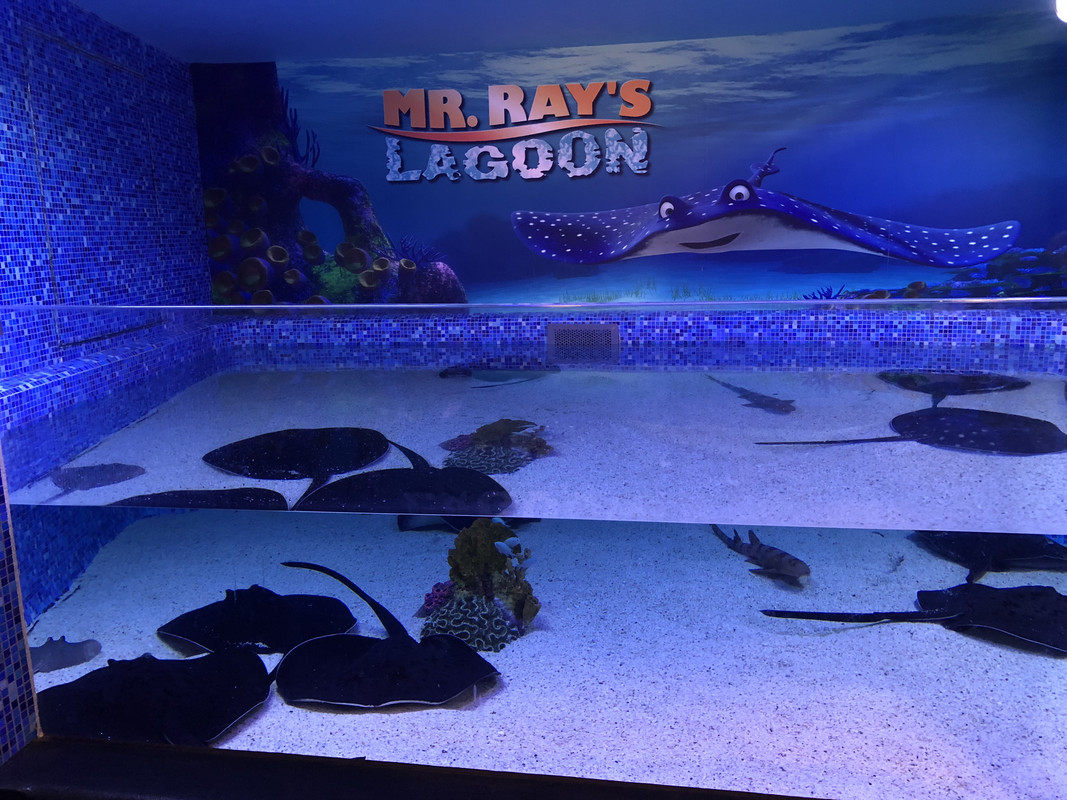 F23A1E4A-E2A8-432C-B392-D1786D63E788