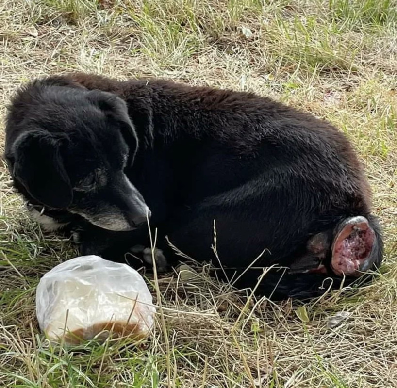 E23DA0AA-21D6-4095-8D98-32B00B5FDFE4