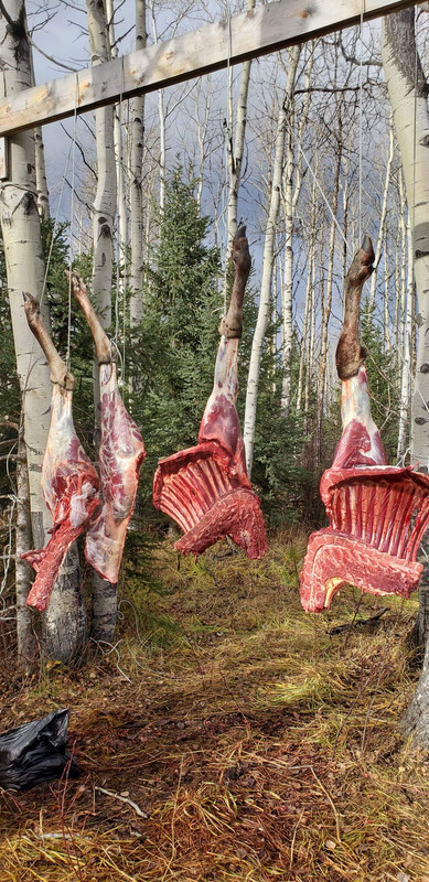 Resized_20191017_144625001 (1)