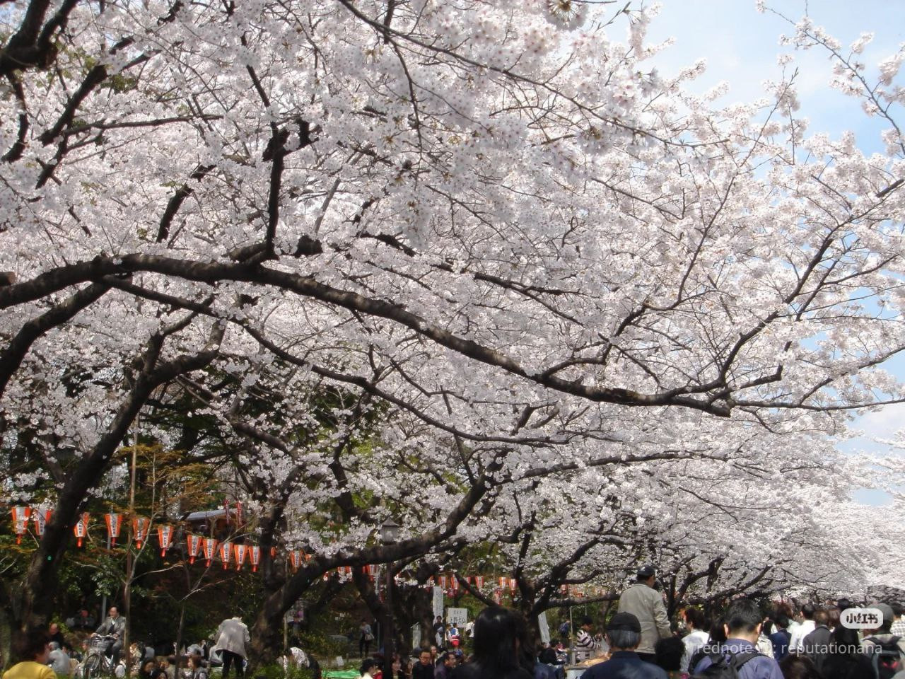 photo 30 2025 12 24 16 27 05