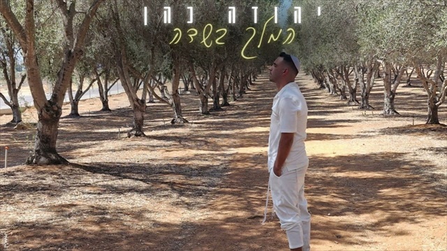 תמונה