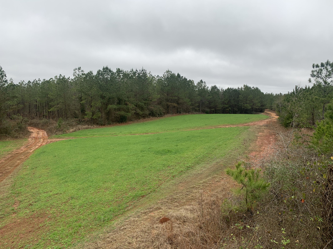 74D09D9A-EC9B-4236-B795-4B8E3126CE98