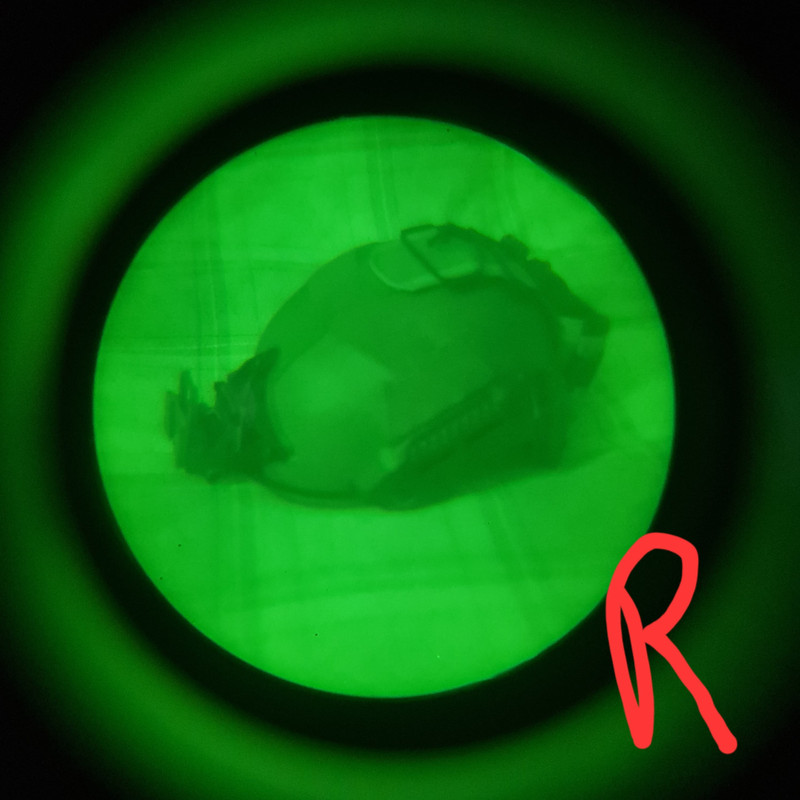 274633316_1871582566372787_3375931883339264259_n