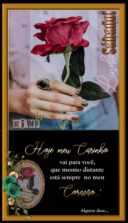 NOVO-507-MB-maryluz.gif%E2%80%9D