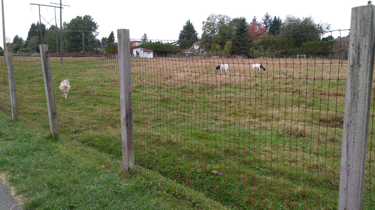 IMG_20201017_1403493