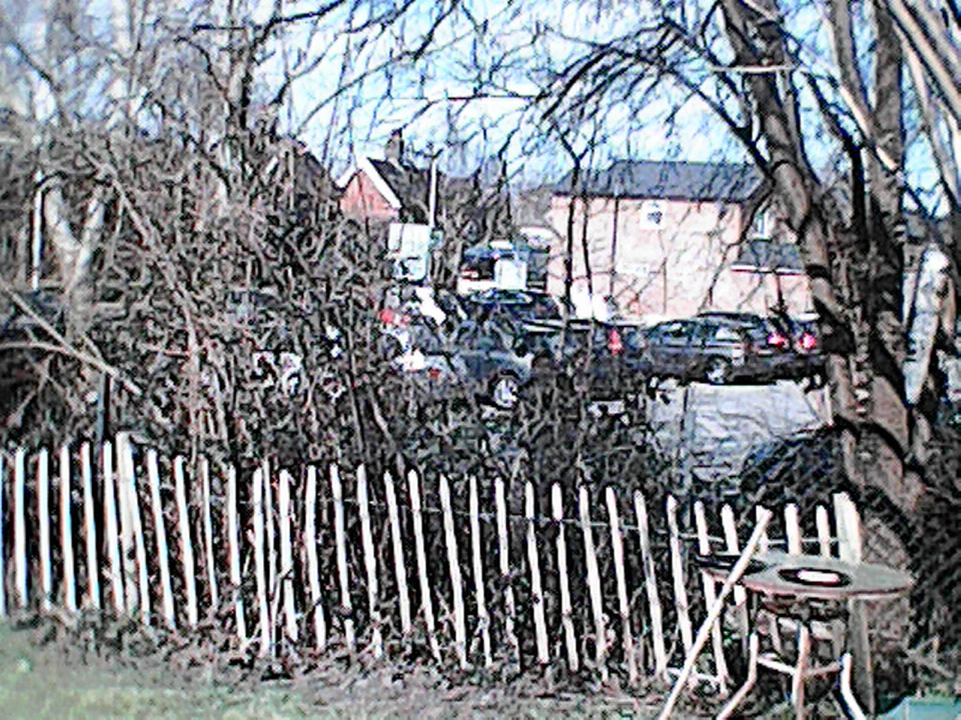 DSC-0000020.jpg