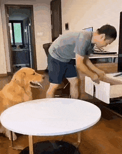 https://i.postimg.cc/RVQ6JLg6/8.gif