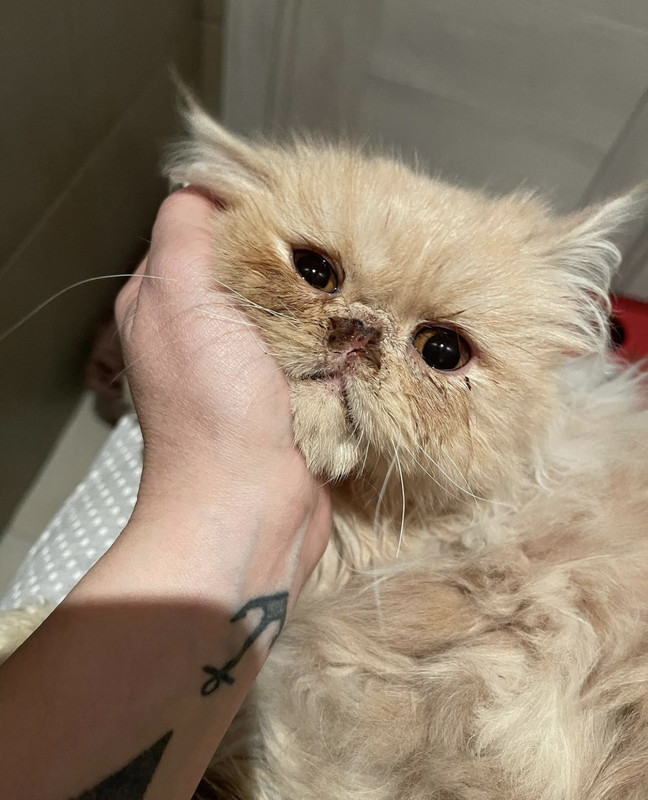 E5A06EE1-AC10-440D-9935-C1186E0E1A9A