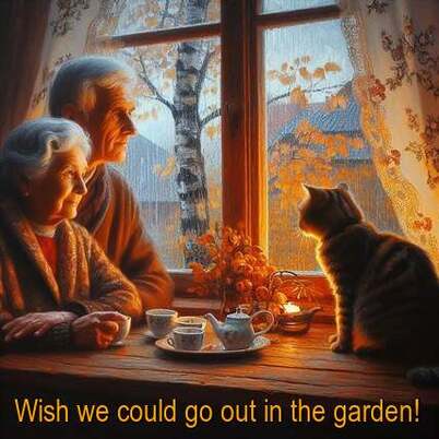 yes-wish-we-could-go-out