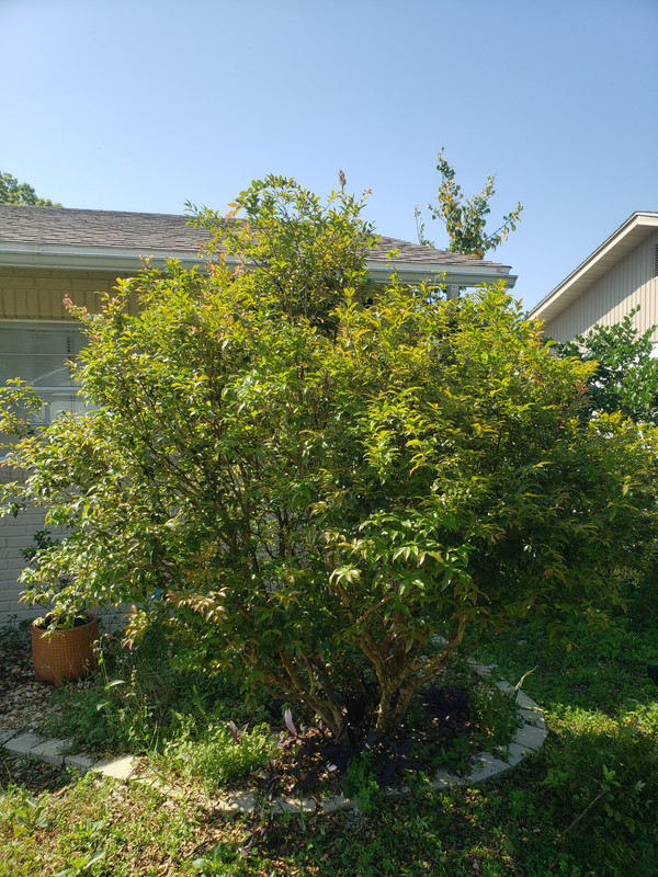 17110343748563675647484328483807