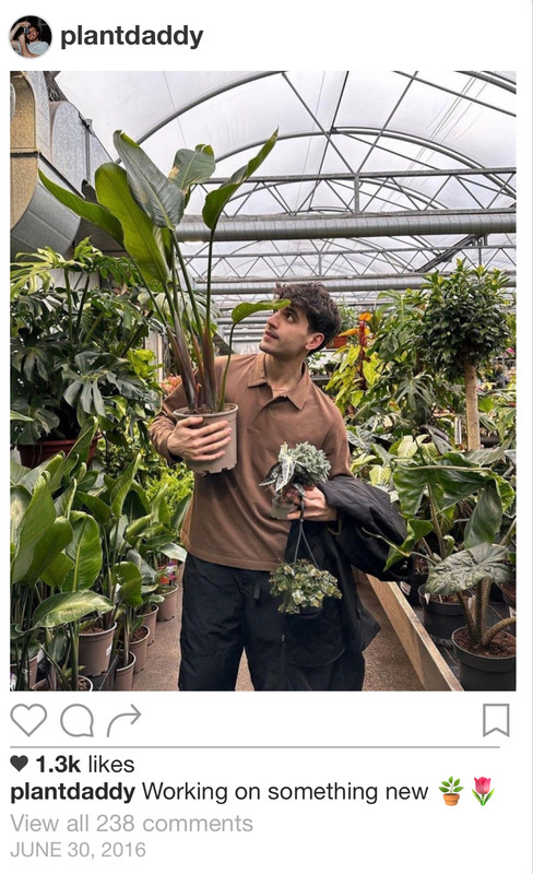 A screenshot of Neville's Instagram post.