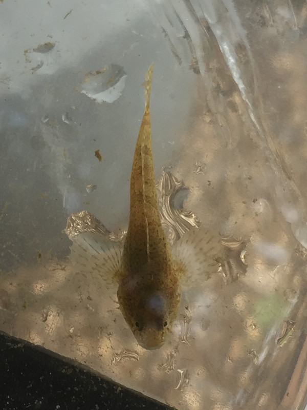 079E7F48-A685-42BC-9091-049958A10605