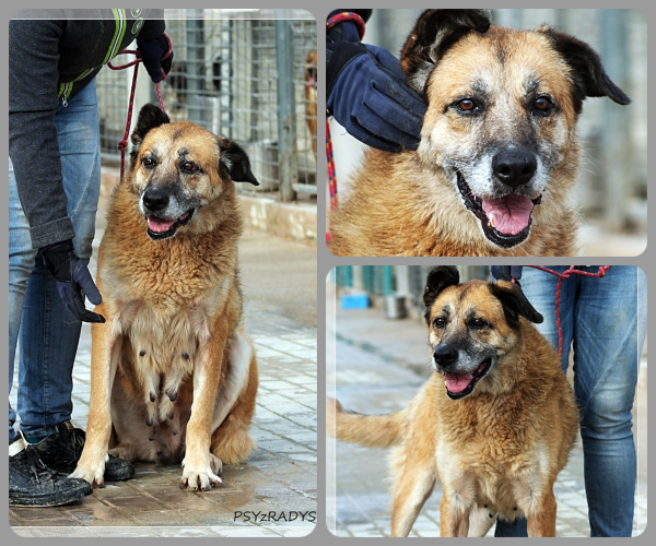 BeFunky-collage (15)