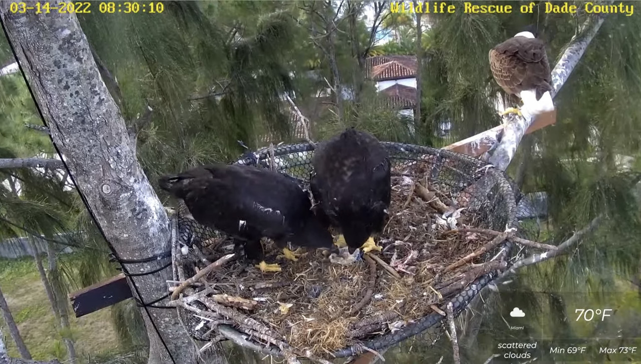 E2E95FD8-8C82-4B10-B7FF-5B92D0B2D314