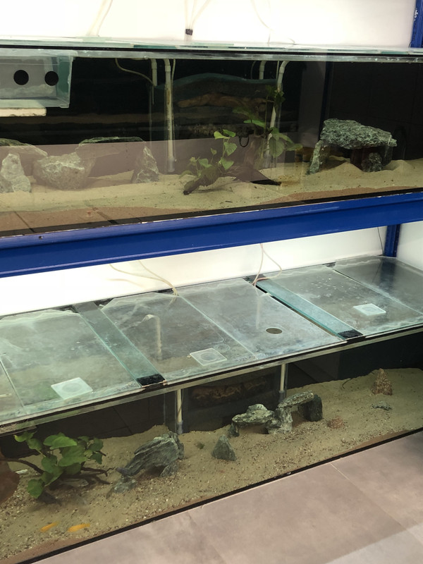 j83ybR 7SB2FdHYcAvRN2A