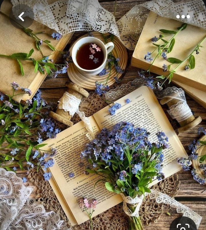 Screenshot_20230819_220943_Pinterest