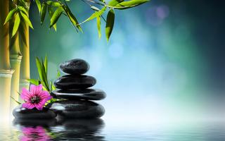 Thơ Nguyễn Thành Sáng - Page 84 Spa-zen-stones-bamboo-flower-2318