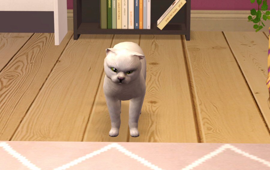Sims2-EP9-RPC-2021-04-03-14-16-51-24