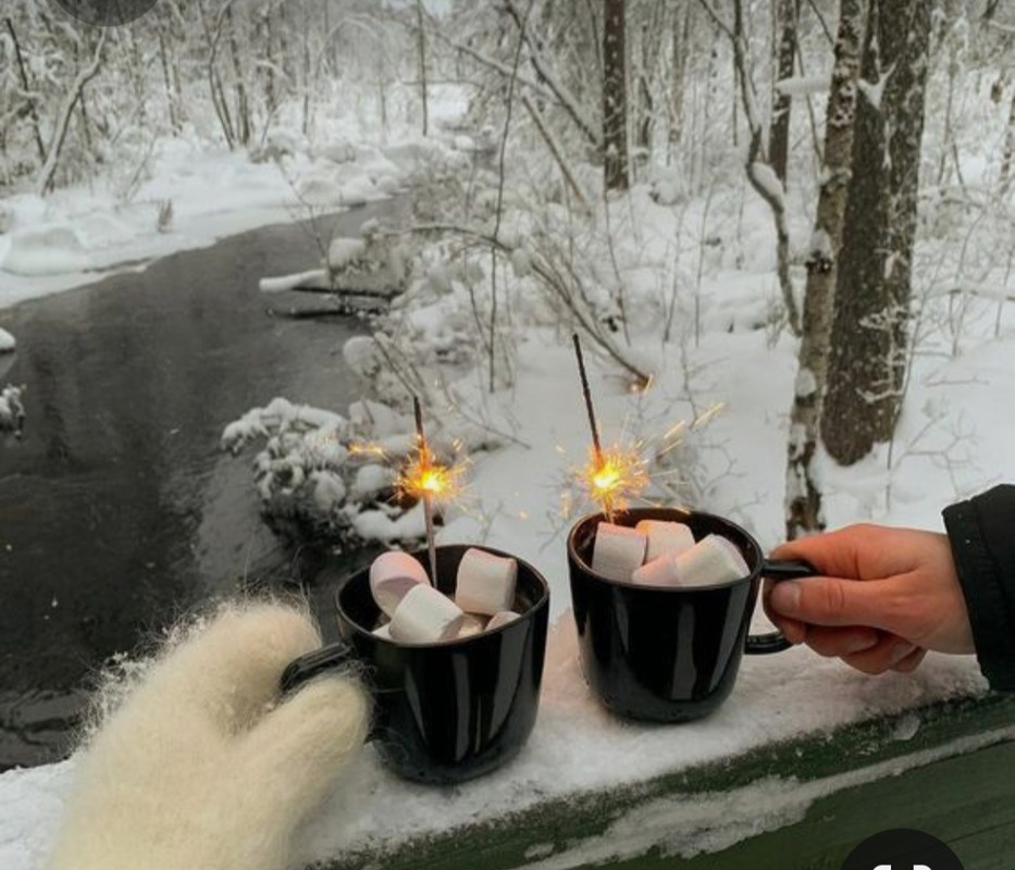 Screenshot_20230403_235333_Pinterest