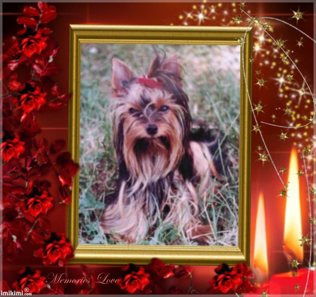 (Voyou anniversaire 20)