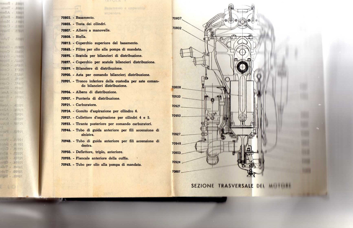 alfa 115-trasversale
