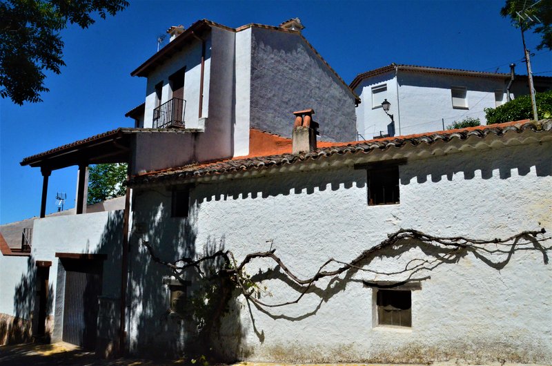 Madrid y sus pueblos-2000/2022 - Blogs of Spain - OLMEDA DE LAS FUENTES-5-6-2020 (38)