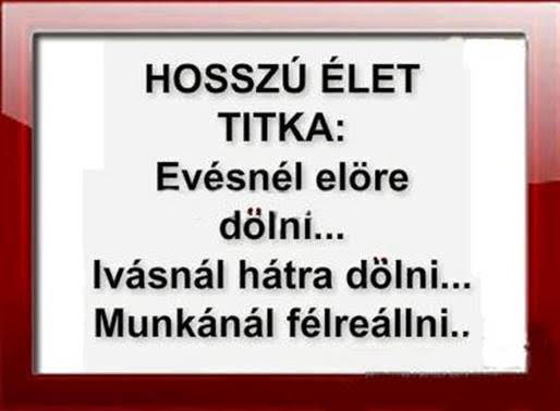 https://i.postimg.cc/RVSdqkQN/hosszuelet.jpg