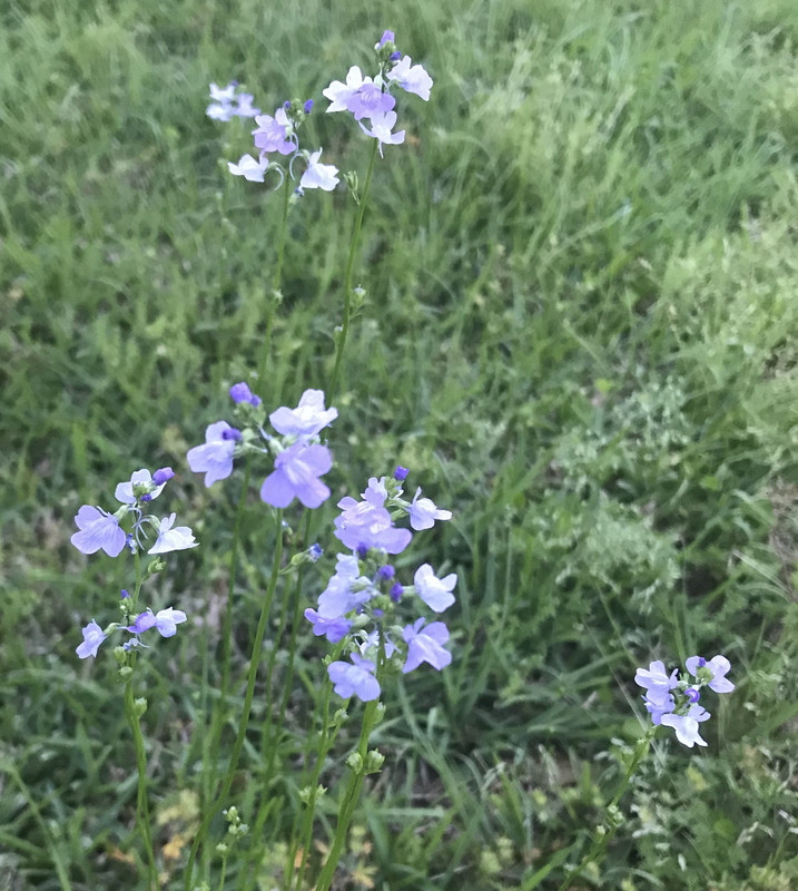 944B9E32-E580-4124-9948-D448131D12CE