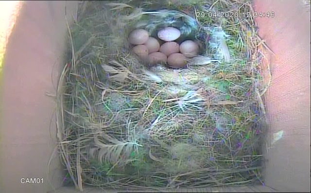 BD4E42C8-FF2C-4F00-ACE3-C84C464704B6