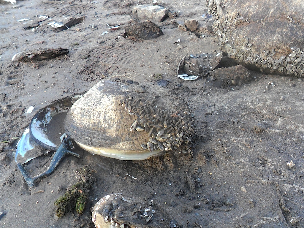 Добрянка 30.03.13 8