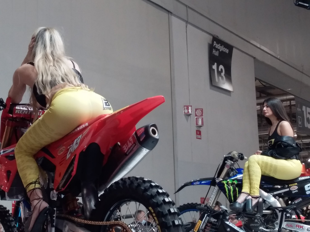 GG569ASSRTED7 by FedeMonza