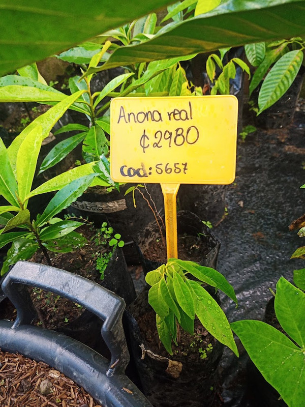 IMG_20221124_162052_911