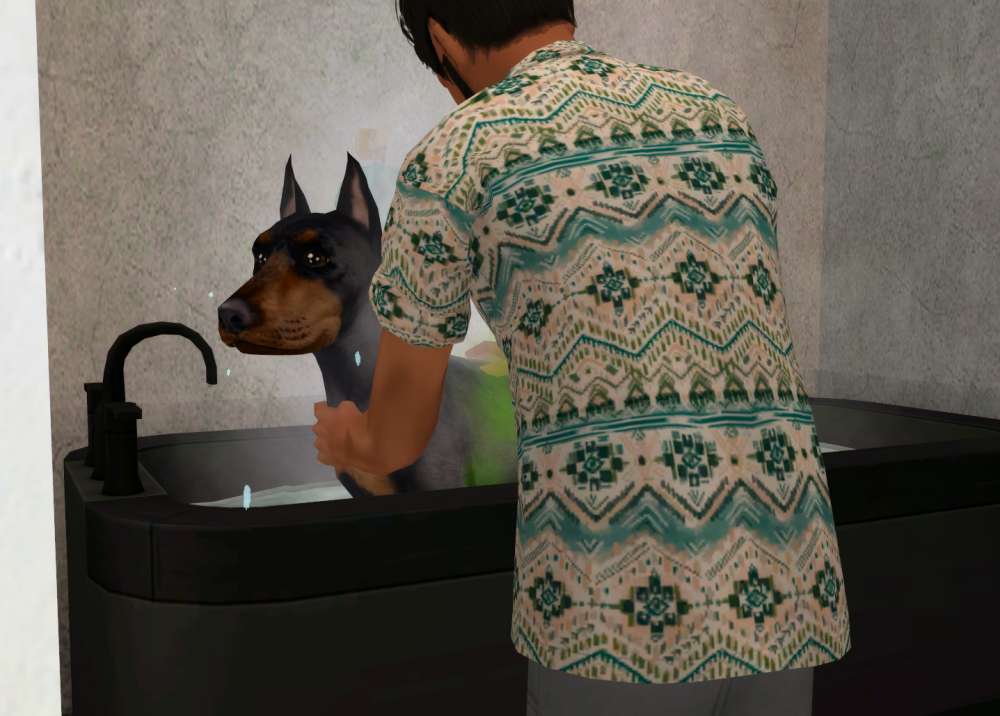 Sims2-EP9-RPC-2022-06-25-22-07-57-54