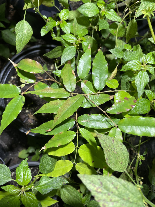 AB6F7665-033A-4E04-959B-E9AC6226A696