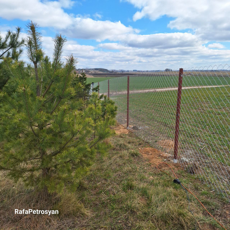 Забор из сетки-рабицы