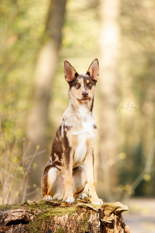 9F116B98-AB8E-45FE-B62C-F4CF79A86AD5