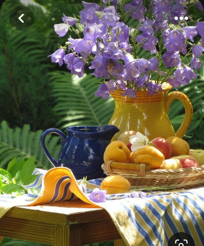 Screenshot_20230622_004625_Pinterest