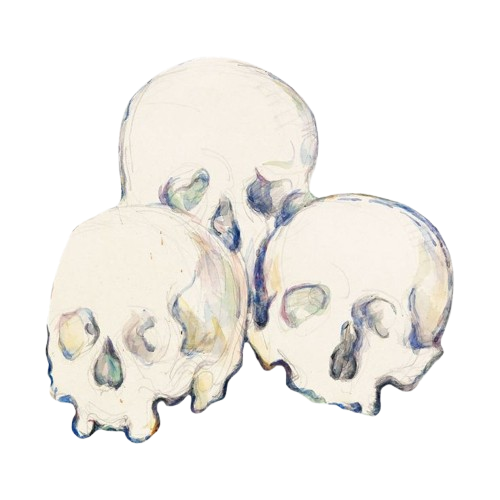 skulls skulls