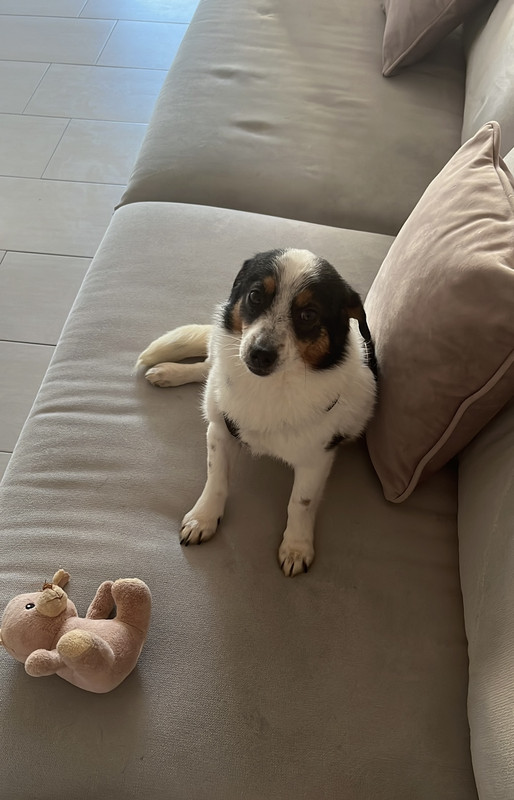 65BBDC0A-7DCD-47DF-B500-B60DA124DE69