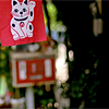 Stock-1565