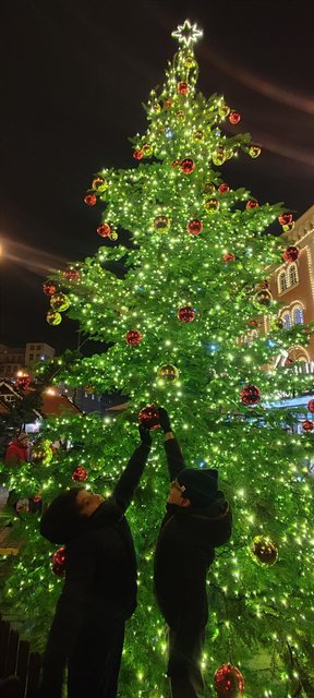 La pinacoteca del Castillo, la Galería Nacional y más Mercados de Navidad - Viena - Bratislava - Praga, Navidad 2024 (140)