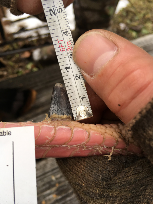 DC8893FA-4E3B-4AA8-BB19-54098C137FEB